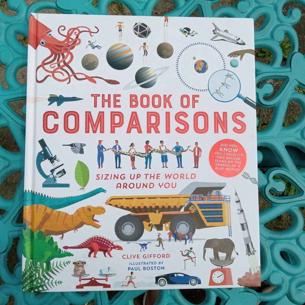 Usborne Book